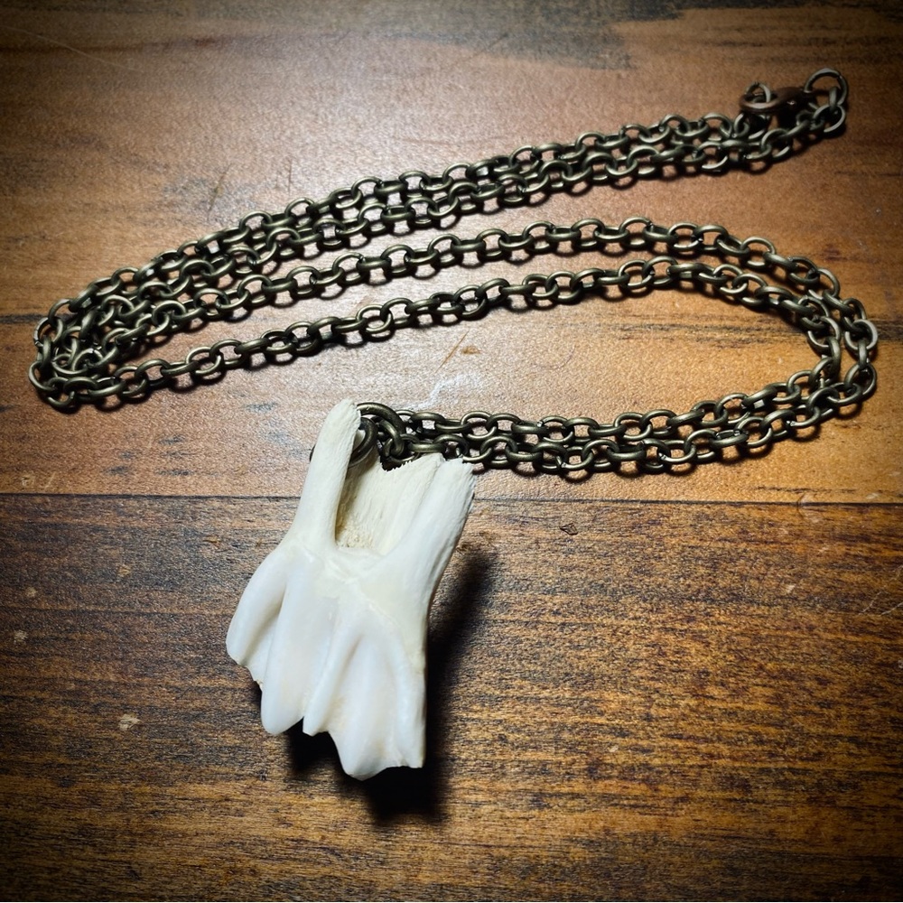 Cow Tooth Oxidized Brass Chain Necklace
